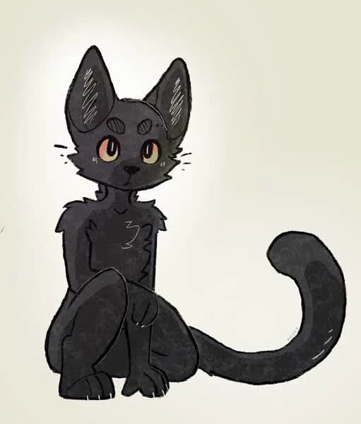 Felix - Your Pets Kitty thumbnail