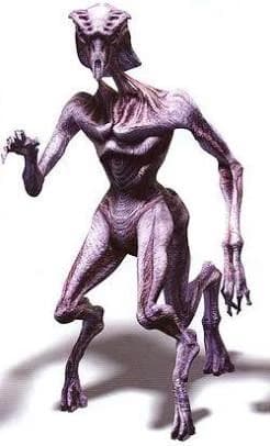 Species 8472 thumbnail