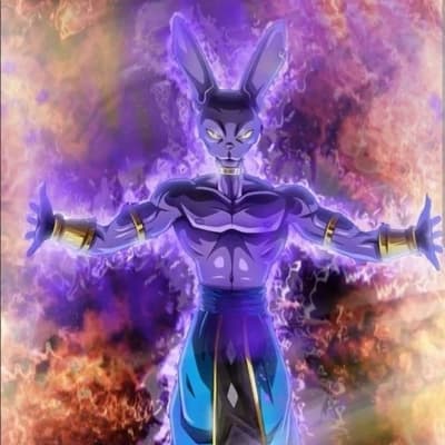 Beerus thumbnail