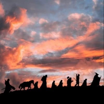 The fellowship  thumbnail
