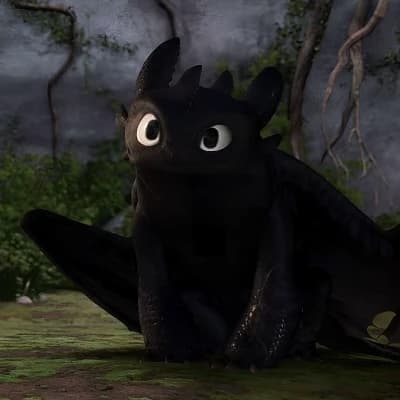 Toothless (Female) thumbnail