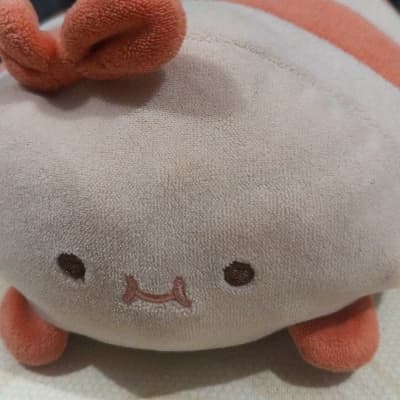 Shrimpy thumbnail