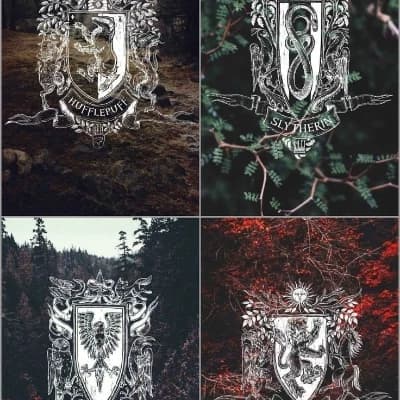 Your Hogwarts House (which one would you choose?) thumbnail