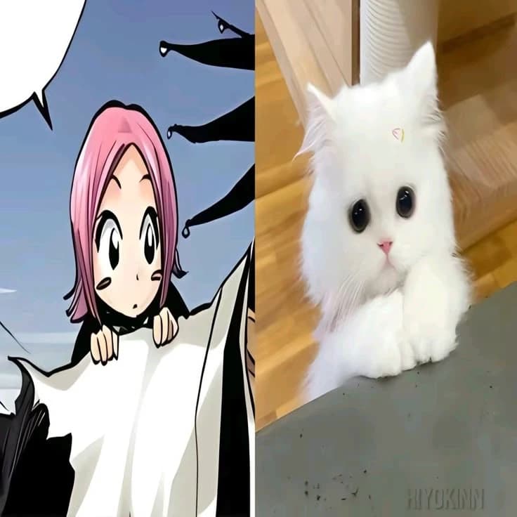 Akari thumbnail