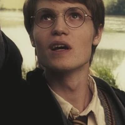 James Potter thumbnail