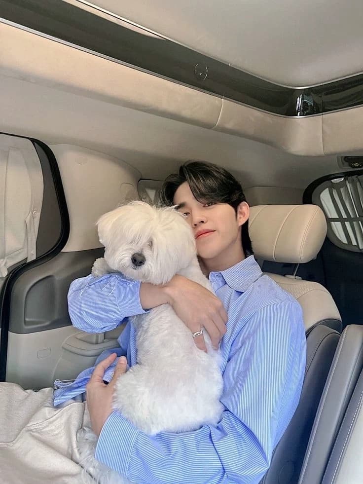 Scoups thumbnail