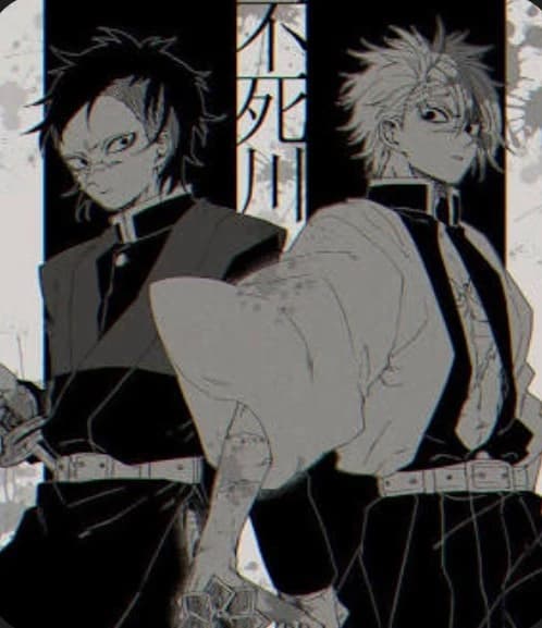 Shinazugawa brothers thumbnail