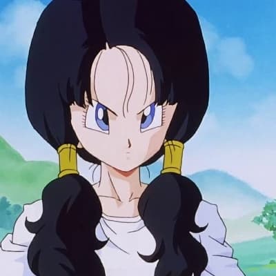 Videl thumbnail