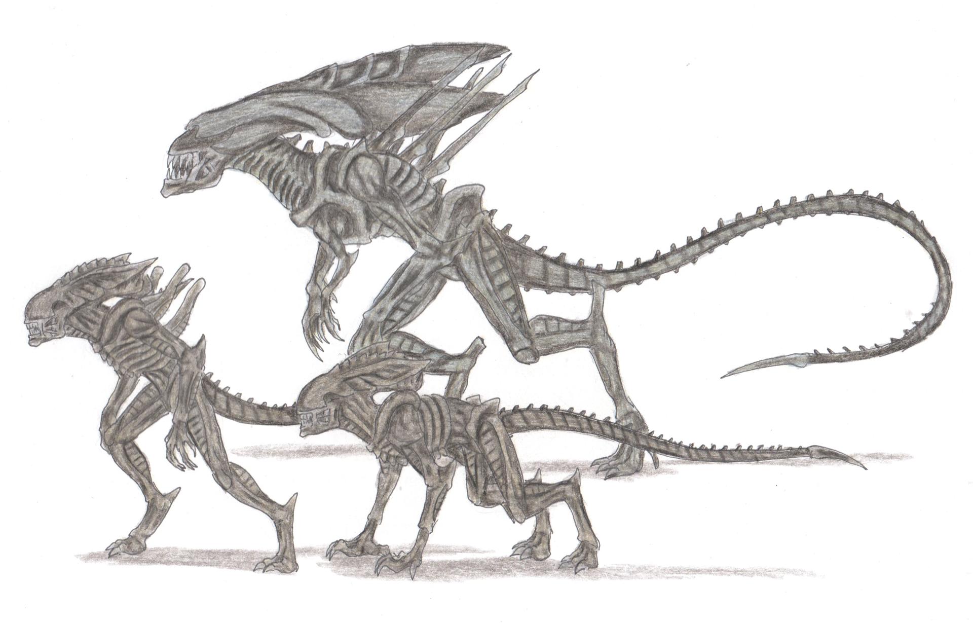 Colony of xenomorphs thumbnail