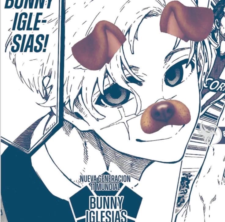 Bunny iglesias thumbnail