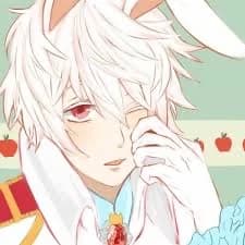 Leo Aliceria thumbnail
