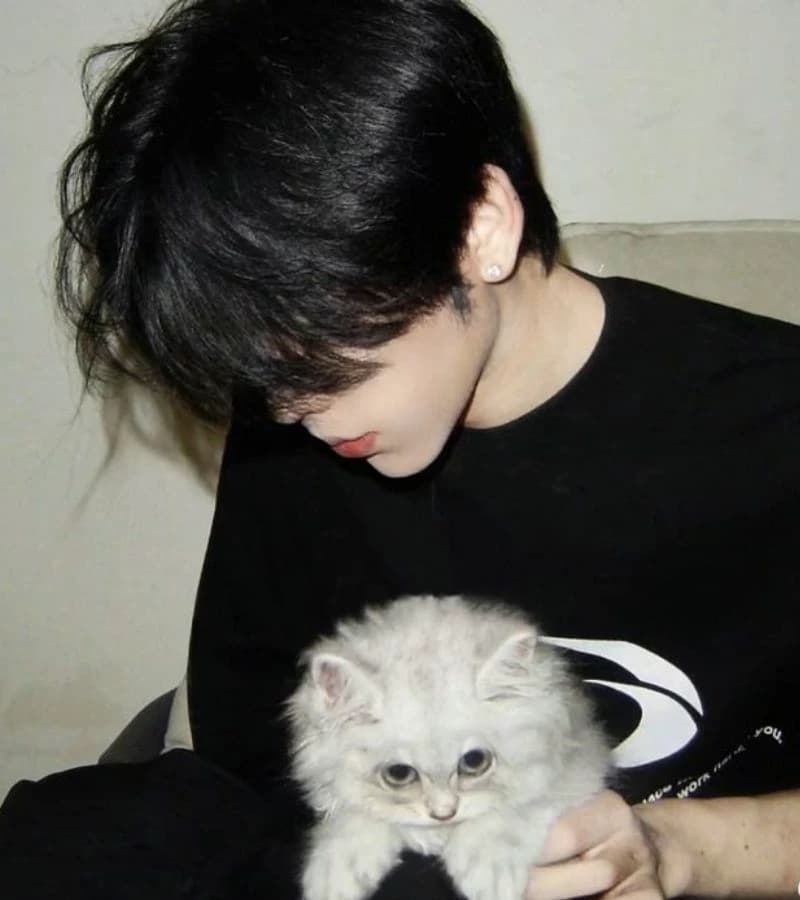 Vũ Nam thumbnail