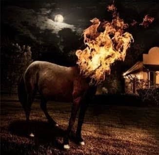 Headless Mule thumbnail