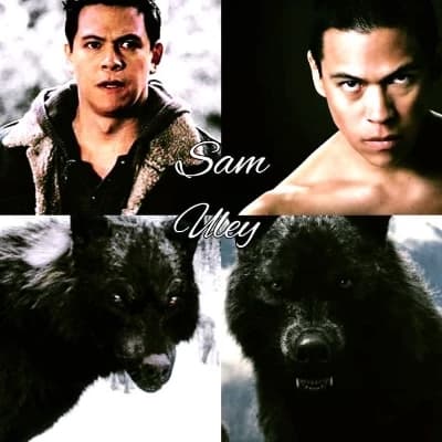 Sam Uley thumbnail