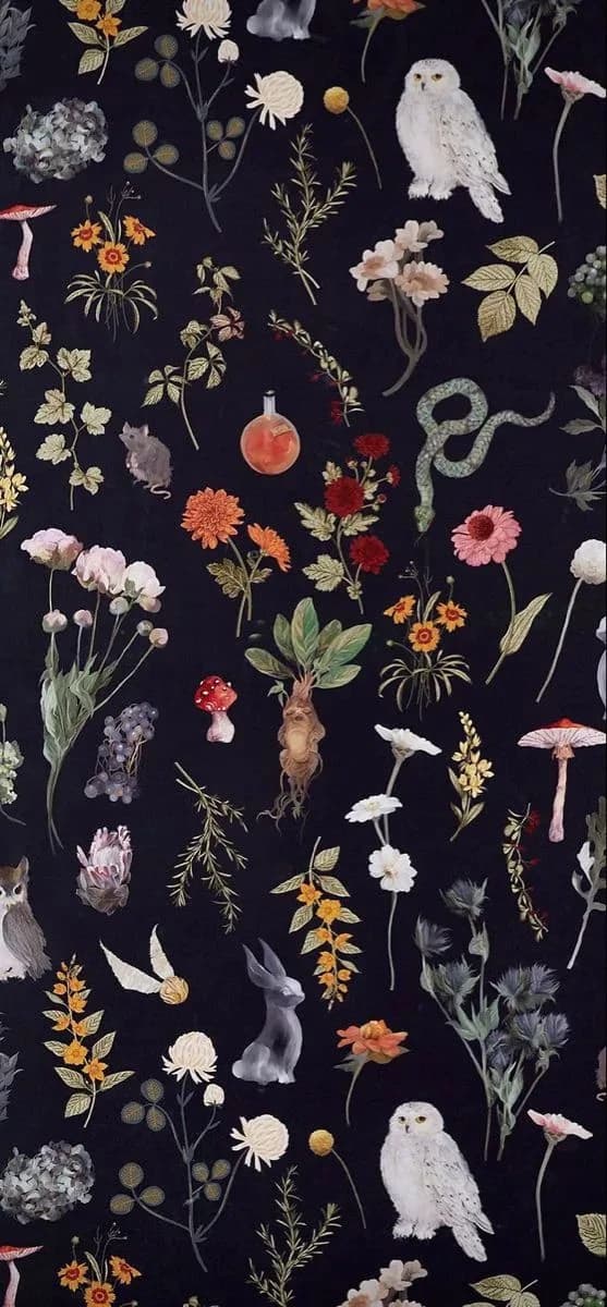 Hogwash Of Hogmill thumbnail