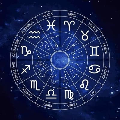The zodiacs  thumbnail