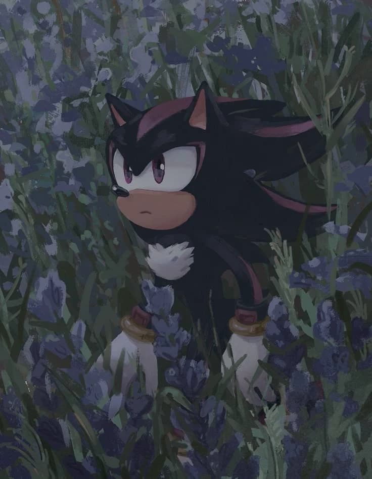 Shadow The Hedgehog thumbnail