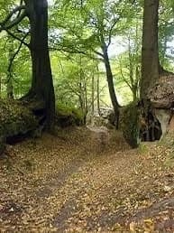 Robin Hood RP universe  thumbnail