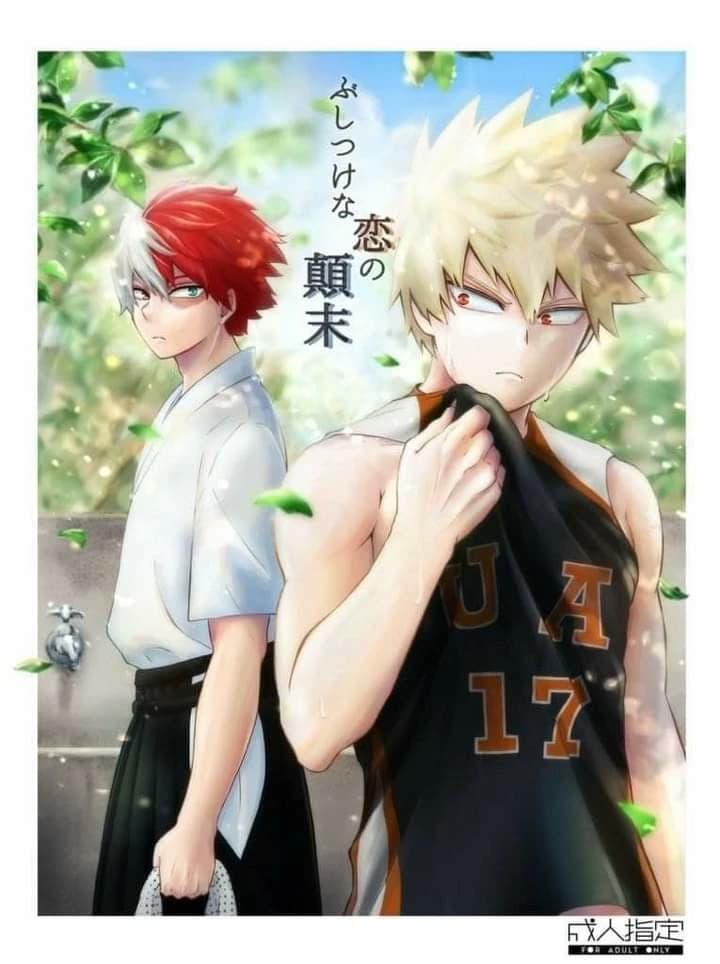 Katsuki Bakugo VS Shoto Todoroki thumbnail