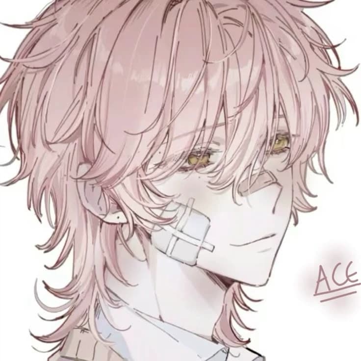 |🍮•Yori thumbnail
