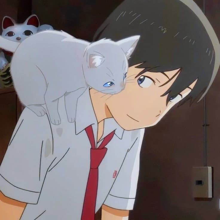 Cat's eyes thumbnail