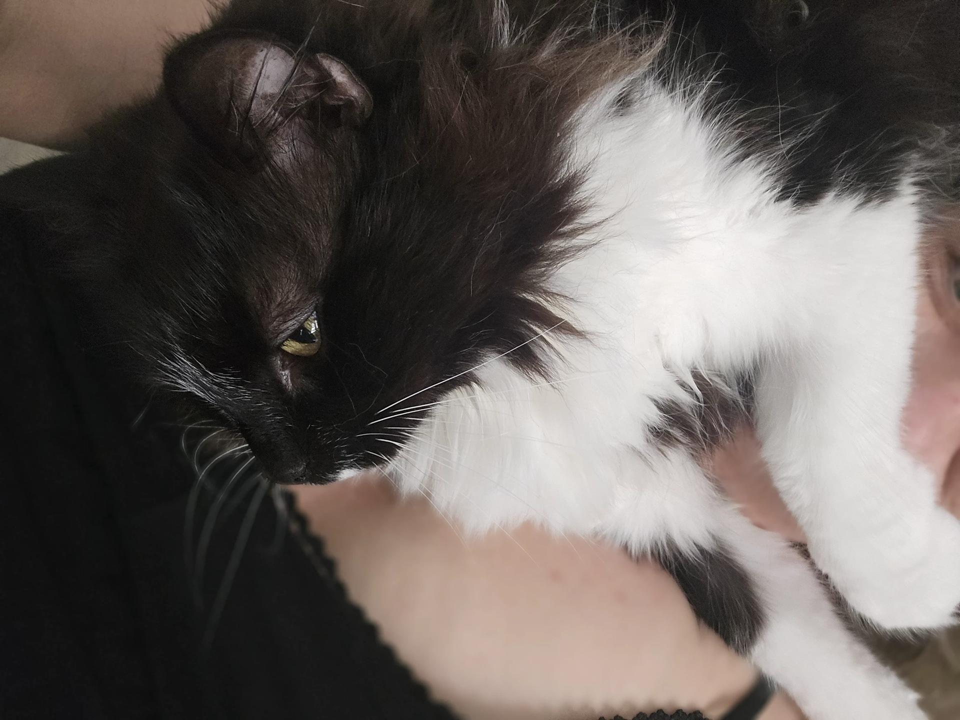 Michael thumbnail