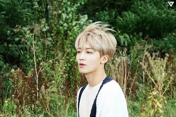 jeonghan thumbnail