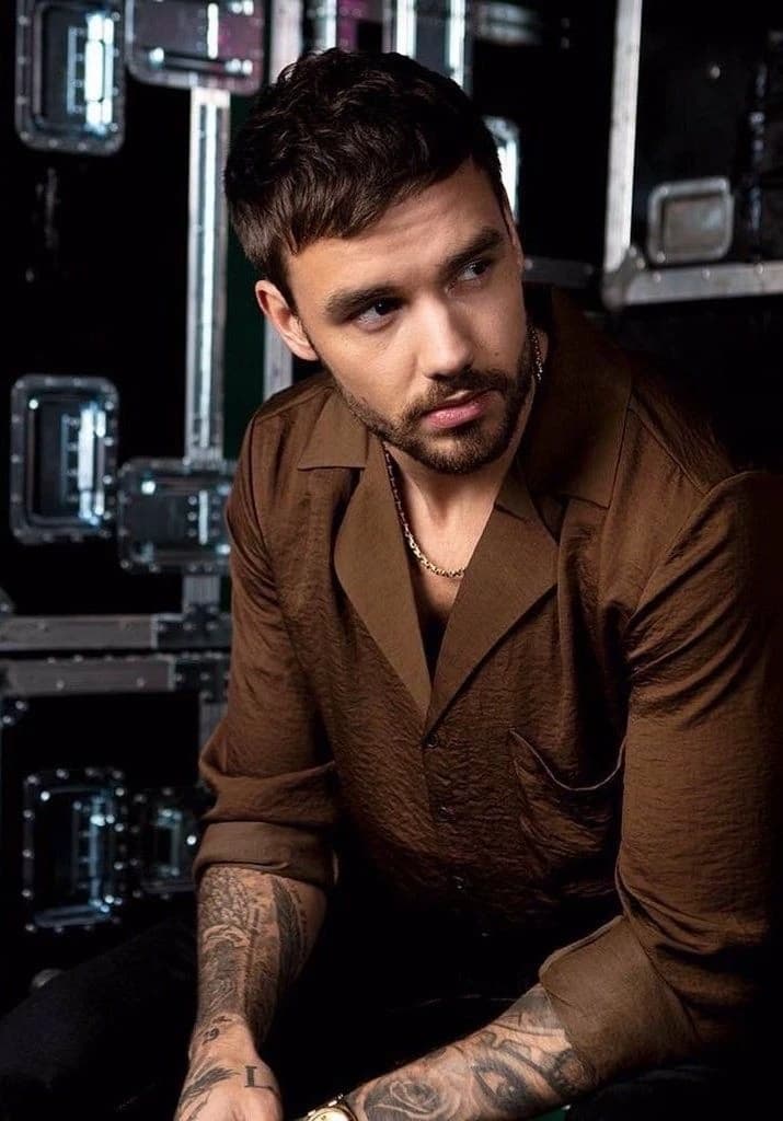 Liam James Payne thumbnail