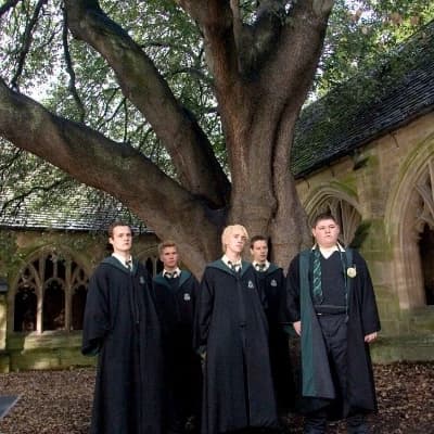 Malfoy. Draco Malfoy thumbnail