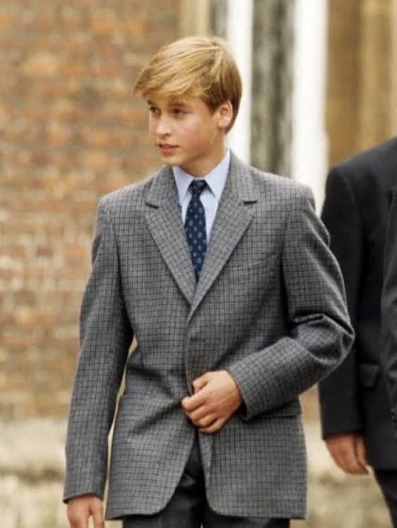 Prince William  thumbnail