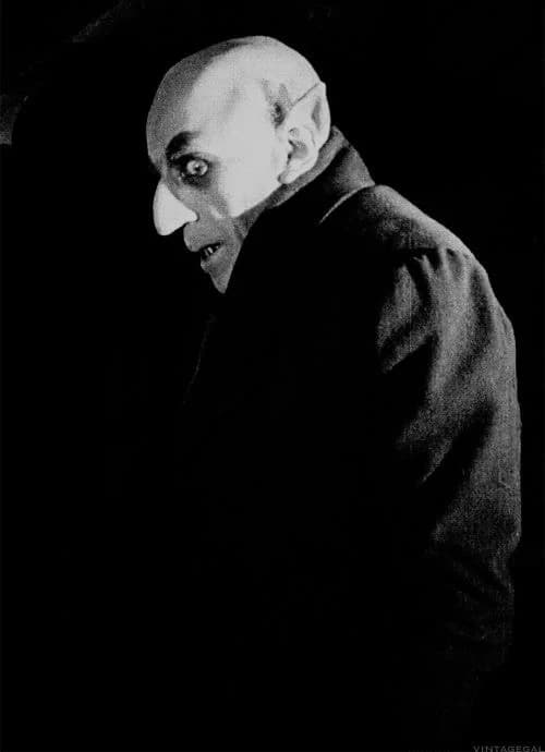 Nosferatu thumbnail