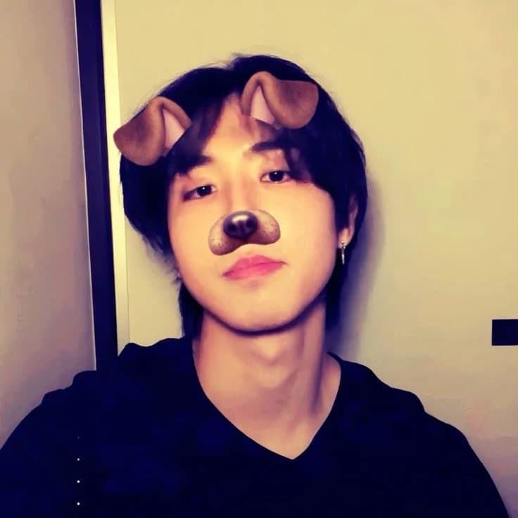 Han Jisung  thumbnail