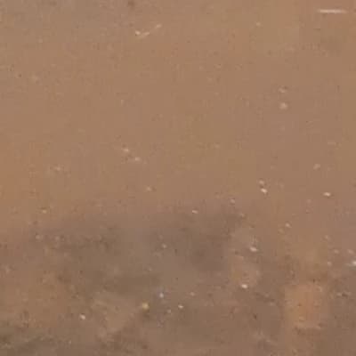 敖廣 thumbnail