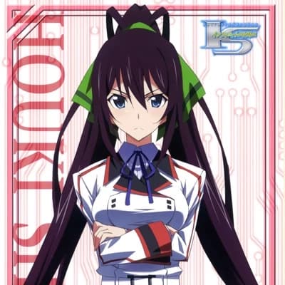 Houki Shinonono thumbnail