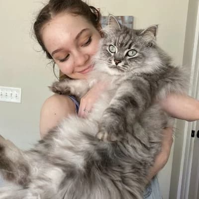 Emma Myers thumbnail