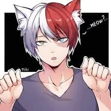 Shoto todoroki thumbnail