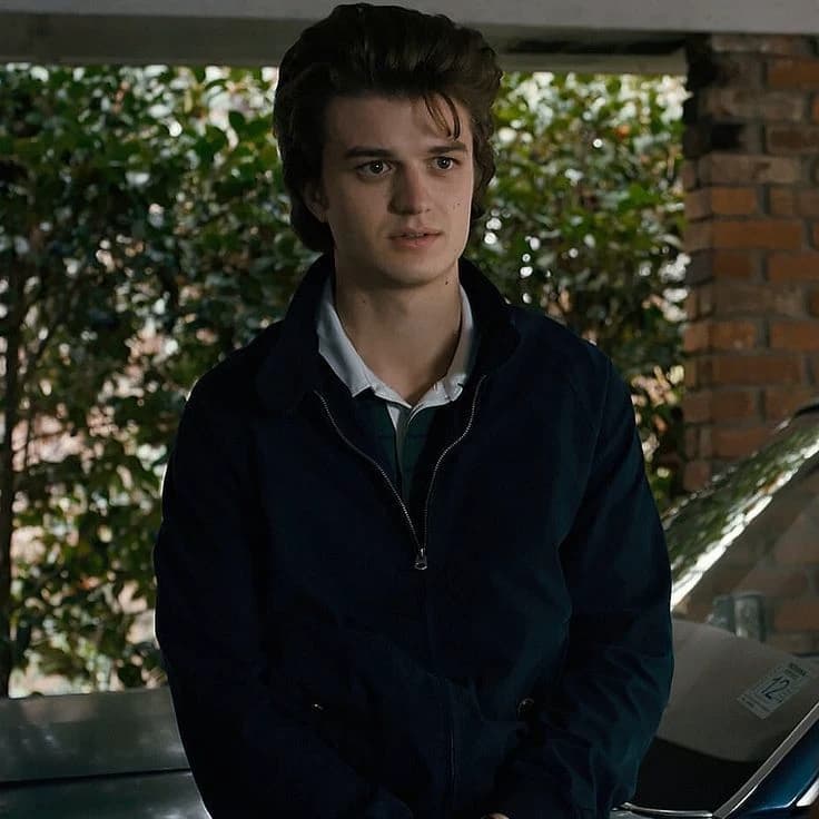Steve Harrington thumbnail