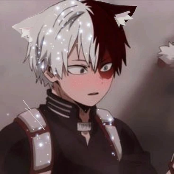 Todoroki thumbnail