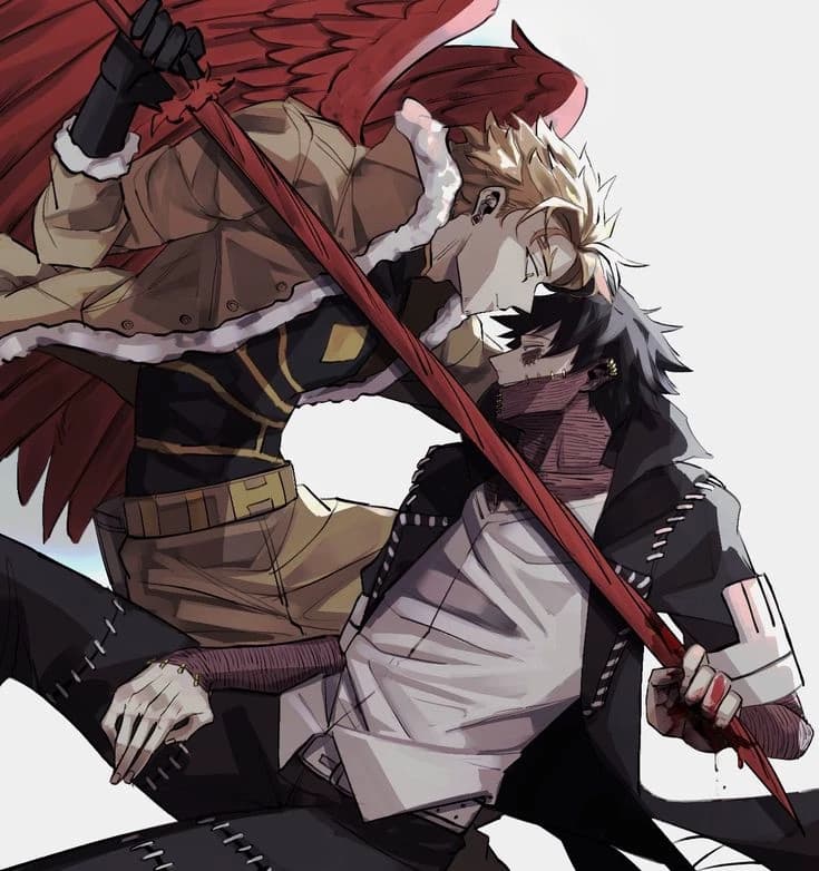 Hawks thumbnail