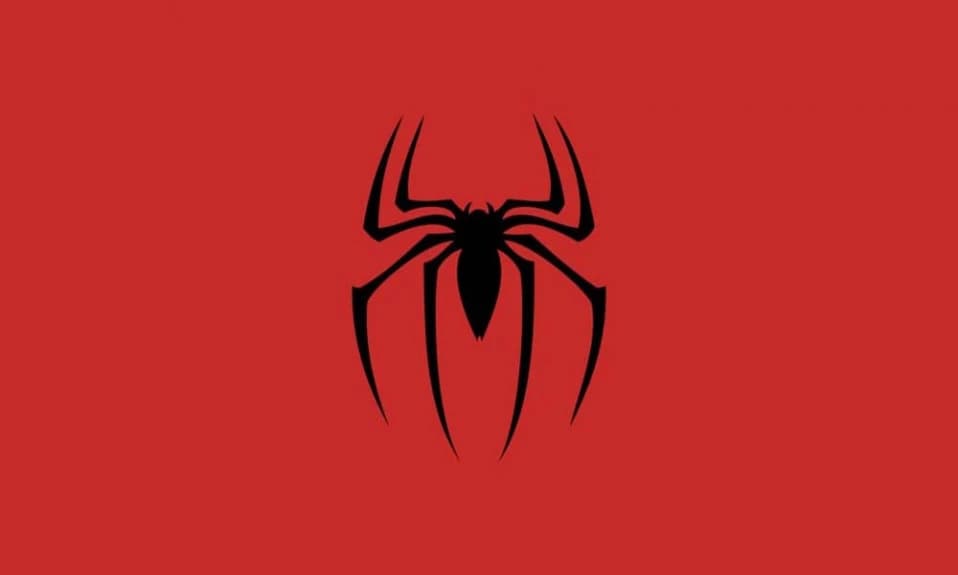 School of Men/Women Spider thumbnail