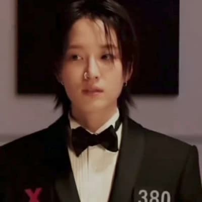 se-Mi-Player 380 thumbnail