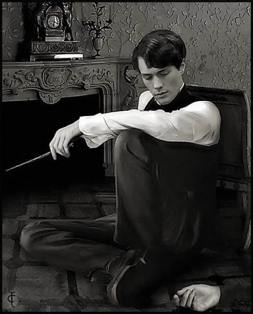 Professor Tom Riddle 💕💫 thumbnail
