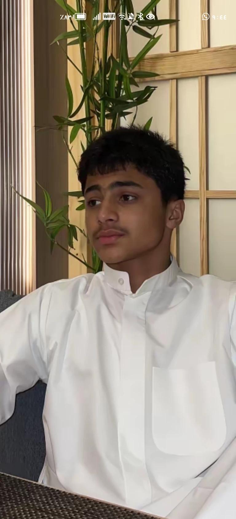 Adel Adnan thumbnail