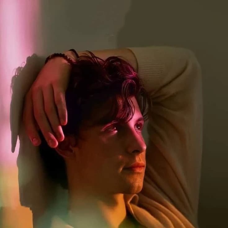 Shawn Mendes thumbnail