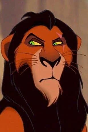Scar thumbnail