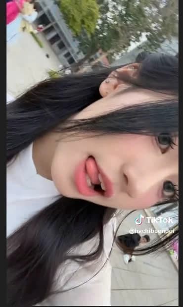 Ha Chi wears ao dai thumbnail
