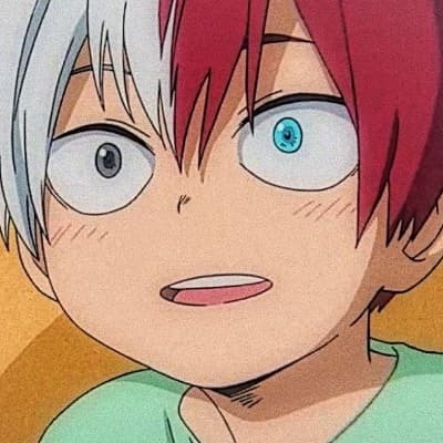Shoto Todoroki thumbnail