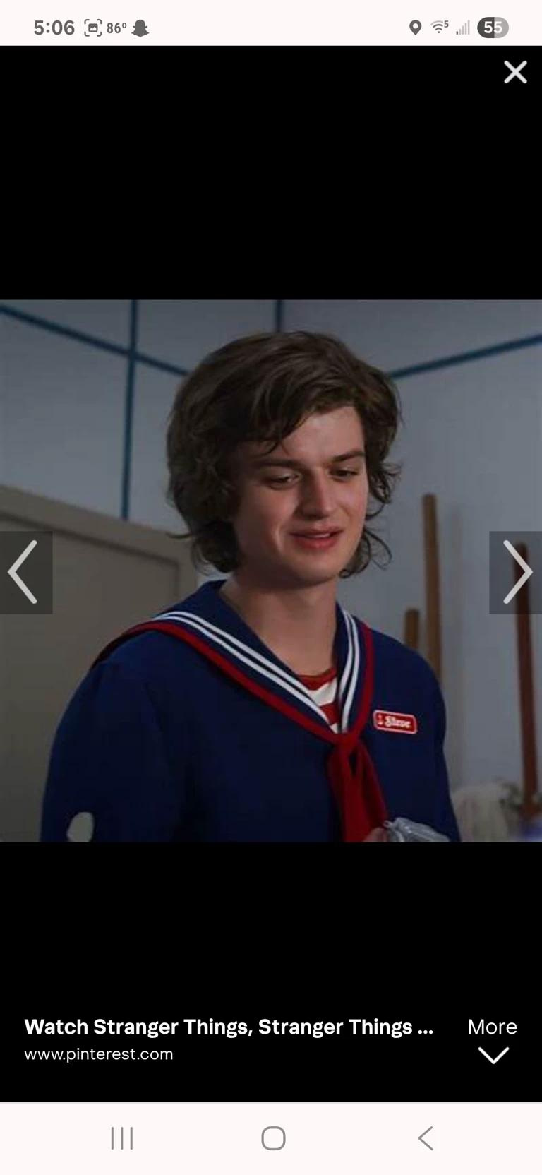 Steve Harrington thumbnail