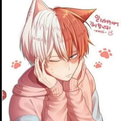Shoto todoroki thumbnail