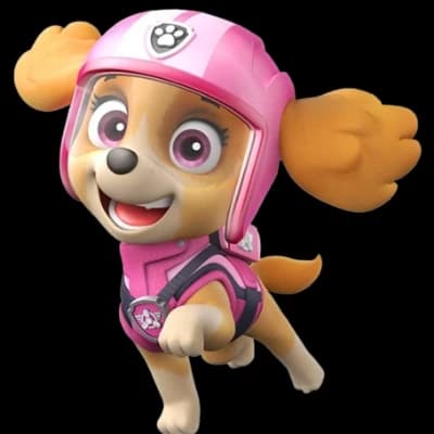 Ultimate Rescue Skye thumbnail
